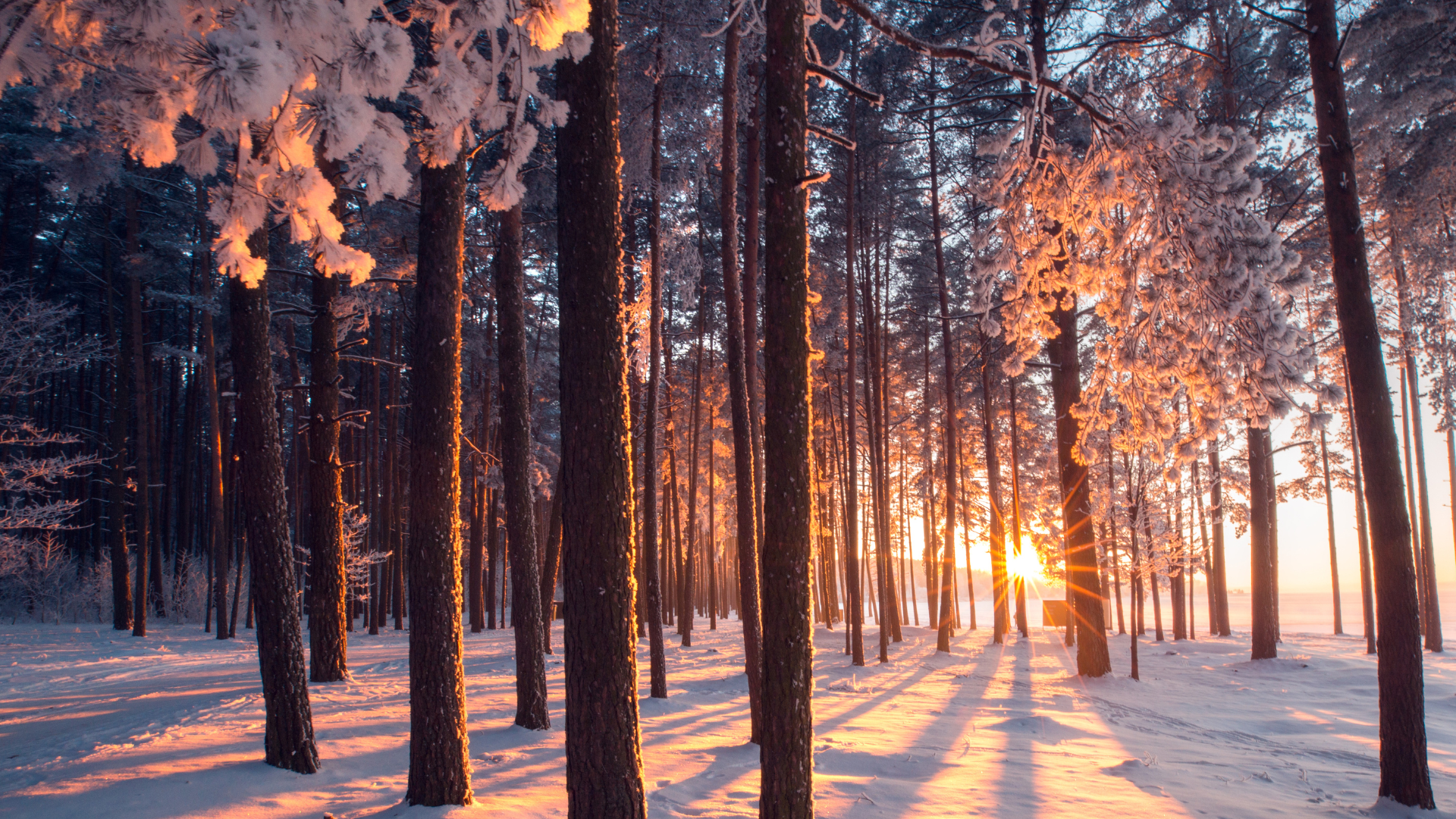 Featured image for “How to Inspect Your Fireplace & Chimney Before Using It This Winter”